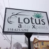 Lotus Auto Xperts