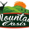 Mountain Oasis Cabin Rentals