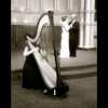 The Classic Harpist