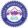 Your Castle Mountain Properties