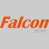 Falcon Logistics Global