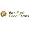 York Fresh Food Farms