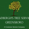 Lindbergh's Tree Service Greensboro