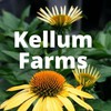 Kellum Farms