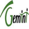 Gemini Insurance Group