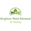 Brighton Mold Removal & Testing