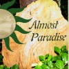 Almost Paradise Lodging