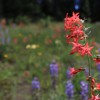 Eden Valley Guest Ranch