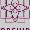 Orchid Chinese Medicine & Acupuncture