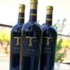 T-Vine Cellars