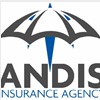 Andis Real Estate Services