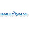 Bailey Valve