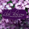 Lilac Blossom Photography