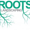 Roots Landscaping