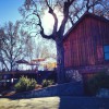 David Fulton Winery