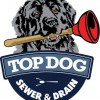 Top Dog Sewer & Drain