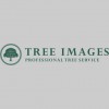 Tree Images