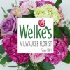 Welkes House-Roses & Flowers