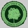 Evans Tree Work