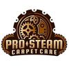 Pro Steam Carpet Care