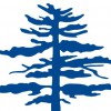 Sanford School