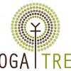 Yoga Tree