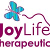 JoyLife Chair Massage