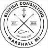 Blu Fish Consulting