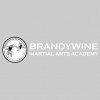 Brandywine Martial Arts Academy