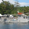 Humpback Hauling