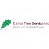 Carlos Tree Service