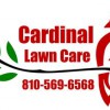 Cardinal Lawn Care