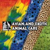 Avian & Exotic Animal Care