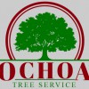 Ochoa Tree Service