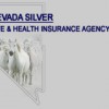 Nevada Silver Life & Health Insurance Agency