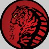 Ten Tigers Martial Arts