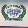 Twin Tigers Taekwondo