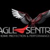 Eagle Sentry