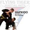 Flying Tiger Martial Arts