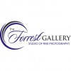 The Forrest Gallery Studio Of Fine Photography