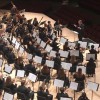 Nassau-Suffolk Performing Arts