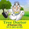 Tree Doctor