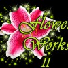 Flower Works II