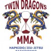 Twin Dragons Martial Arts