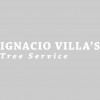 Ignacio Villa TREE SERVICE