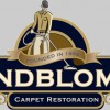 Lindbloms Carpet Restoration