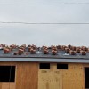 Pin Roofing