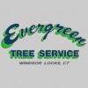 Evergreen Tree Service