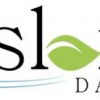 Island Day Spa