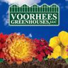 Voorhees Greenhouses